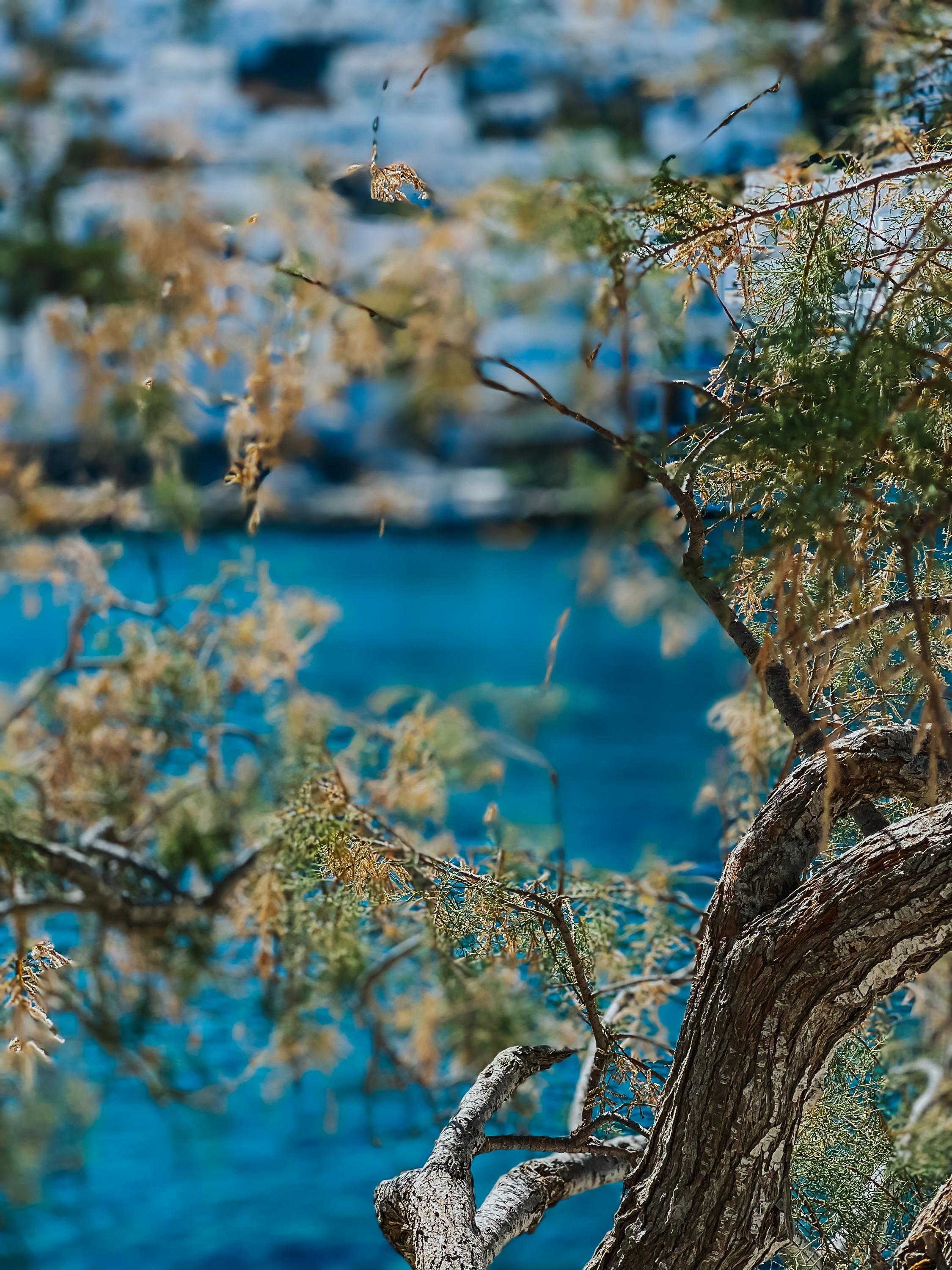 Vithos Aparthotel Astypalaia Экстерьер фото